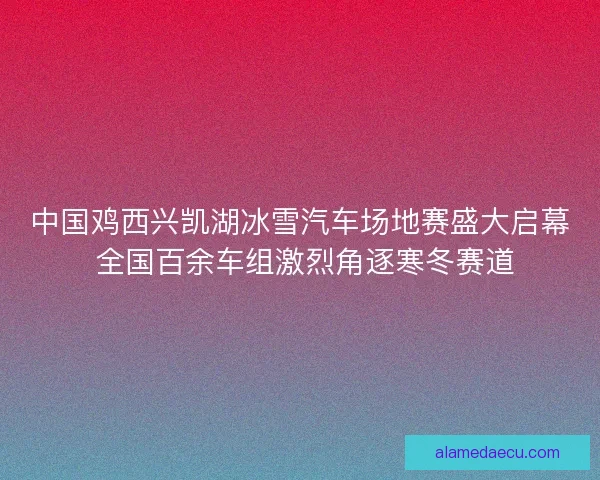 中国鸡西兴凯湖冰雪汽车场地赛盛大启幕 全国百余车组激烈角逐寒冬赛道